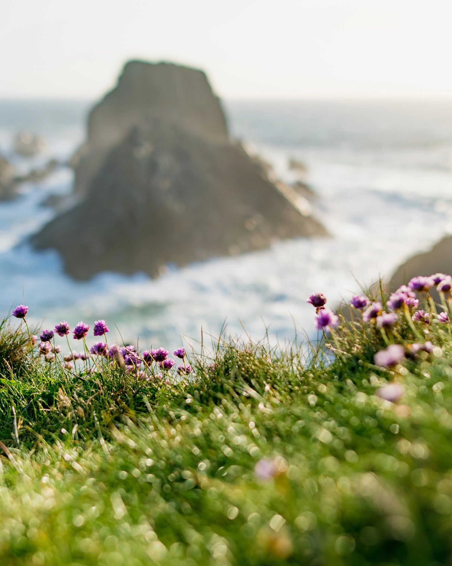Summer Tides